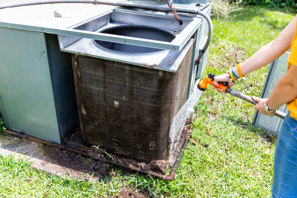 Best Air Duct Cleaning Near Me  in St Petersburg, FL