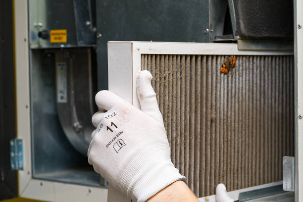 Best Dryer Vent Cleaning Services  in St Petersburg, FL
