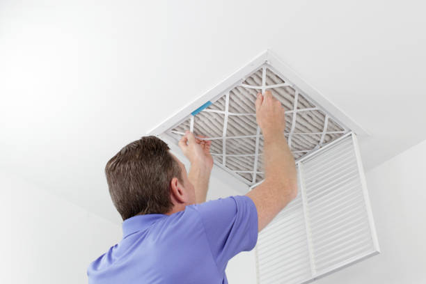 Best Affordable Duct Cleaning Services  in St Petersburg, FL